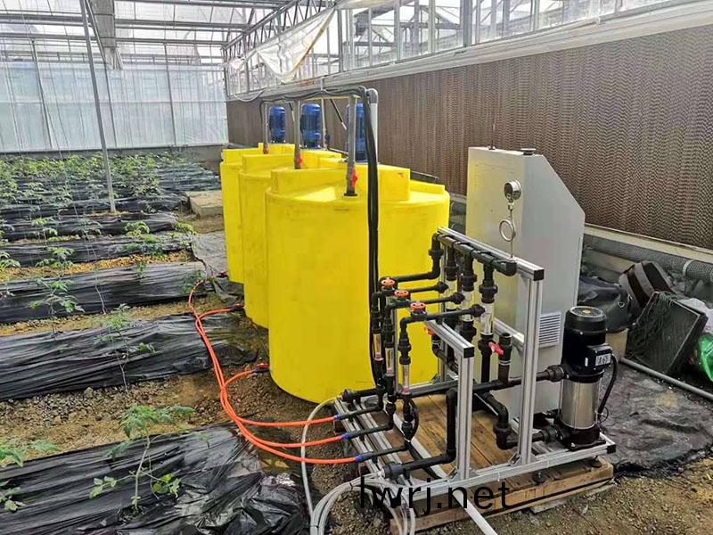 水肥一體化草莓施肥註意事項 水肥一體化草莓施肥註意事項