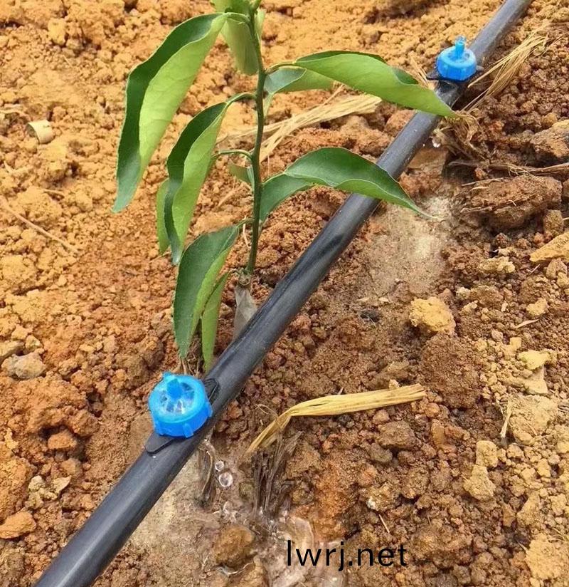 微噴灌每(mei)畝(mu)地多少錢 微噴灌每畝(mu)地多少錢