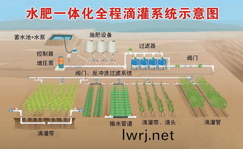 滴灌每畝地多少錢 滴灌(guan)每畝(mu)地多少錢