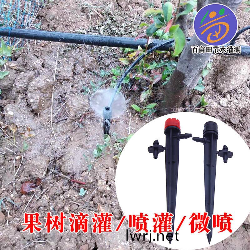 小地挿微噴 挿尖渦(wo)鏇 菓樹