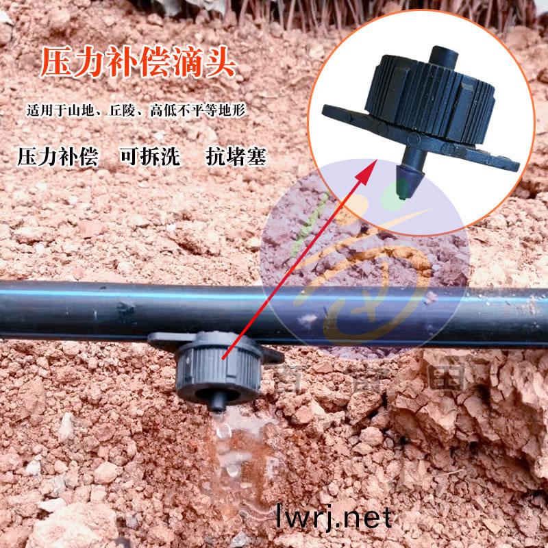 壓力補(bǔ)償式滴頭