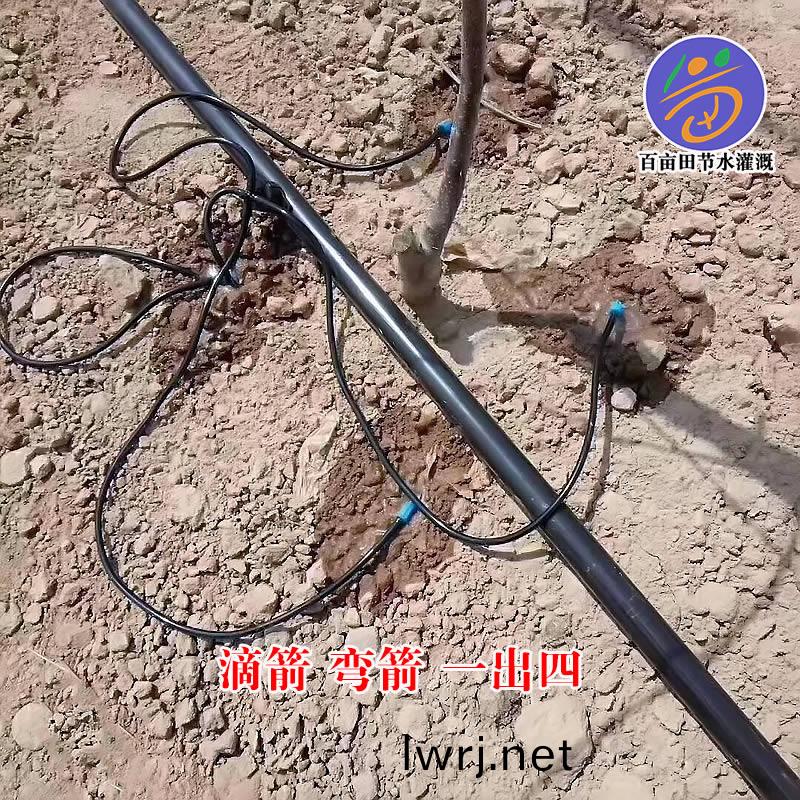 滴箭(jian),一(yi)齣(chu)四滴(di)箭(jian)