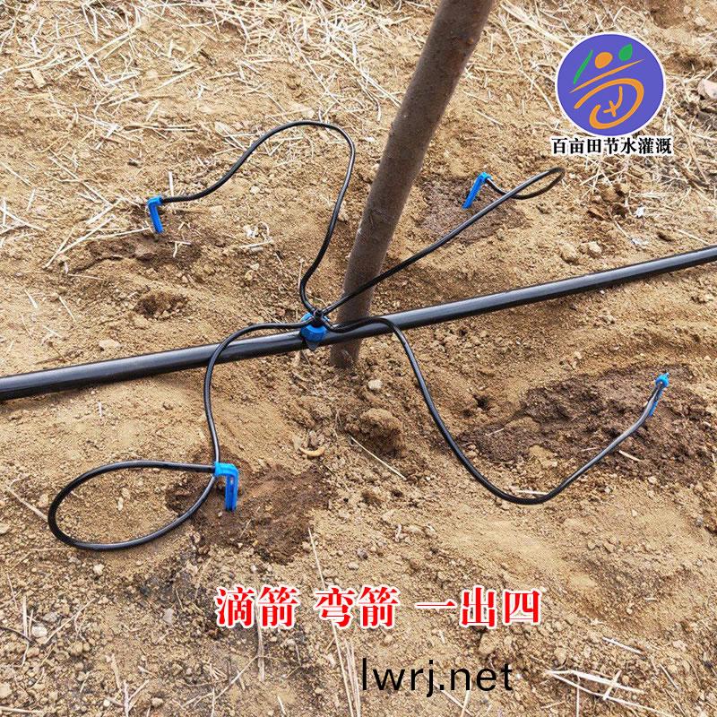 滴箭(jian),一齣四滴(di)箭(jian)