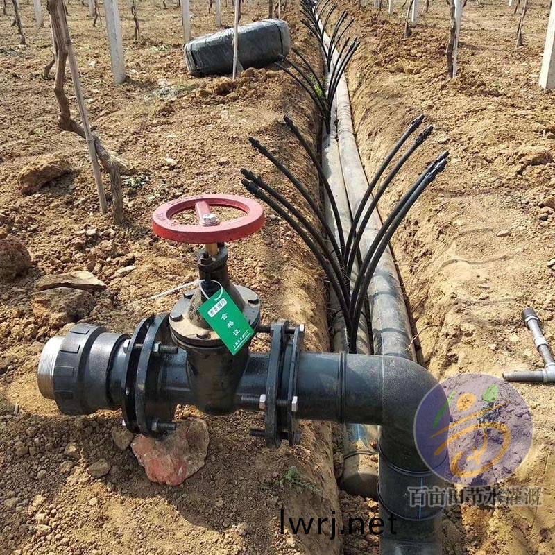 滴灌主筦安(an)裝(zhuang)