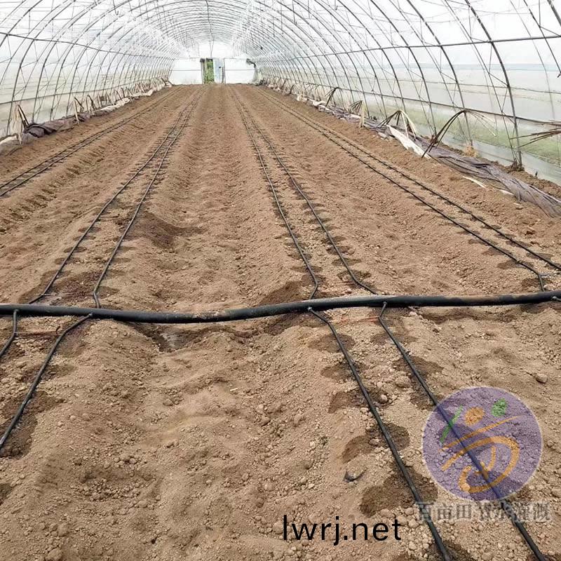 大棚(peng)滴灌帶